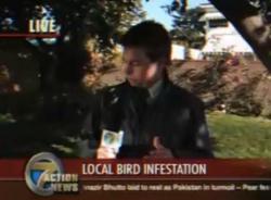 鳥の糞　リポーター　ニュース　不運