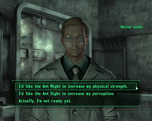 Fallout3 2008-11-19 13-26-00-39