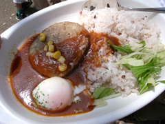 Earth Day Tokyo 2009で食べた「ハワイアン ロコモコ」は800円