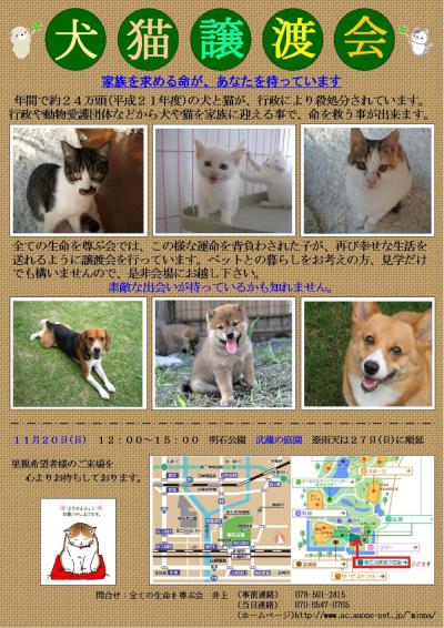 譲渡会ポスター（2011年11月20日版）