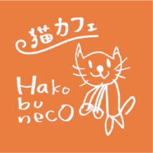 里親募集型猫カフェ「Hako bu neco」