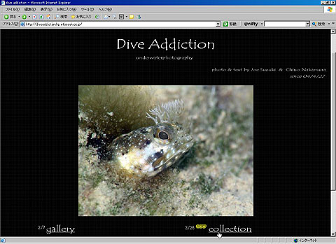 05-03-26-Dive-Addiction.jpg