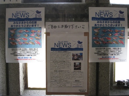 BLUE BIRD NEWS番外編と回収BOX2010年5月17日?
