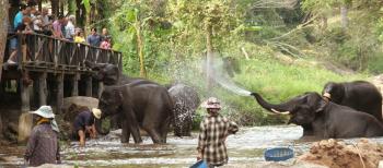 elephant park2
