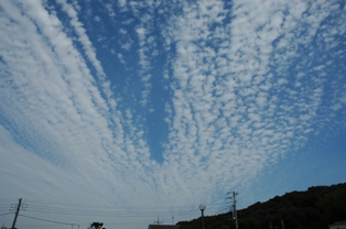 uroko雲 015