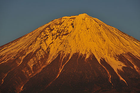 富士の黄照