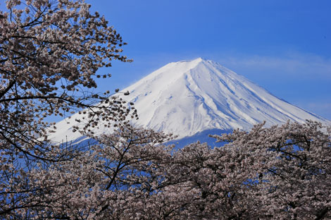 春らんまんの富士