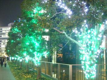 街路樹ライトアップ