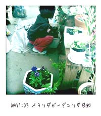 gardeningbiyori