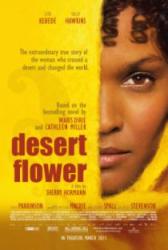 desertflower1Desert Flower
