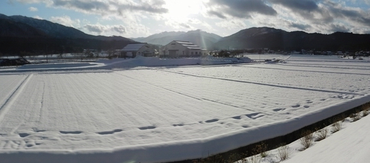市内でも山間部の朽木地区は、雪の中でした。