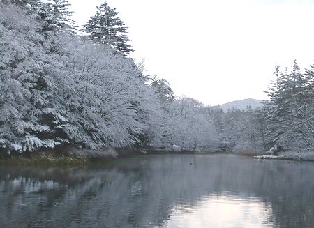 冬の雲場池