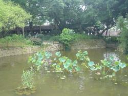 中国式庭園