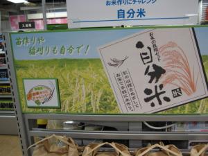 米の栽培キット　POP