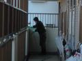 東京都世田谷区　マンション共用部年末大掃除　立ち上がり壁洗い清掃　作業風景