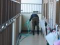 東京都世田谷区　マンション共用部年末大掃除　立ち上がり壁洗い清掃　作業風景
