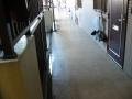 東京都世田谷区　マンション共用部年末大掃除　床ポリ洗剤洗い清掃　作業風景