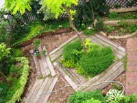 my garden/photo by福家金蔵