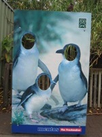 シドニー・タロンガ動物園の顔ハメ看板/photo by福家金蔵
