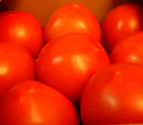 tomato1.gif