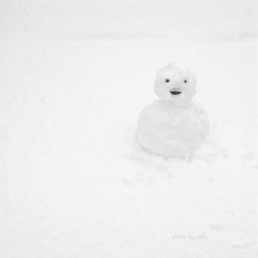 snowman_2010_2_6_bw_trimed.jpg