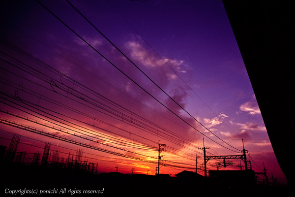 sunset11-02.jpg