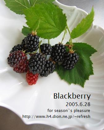 2005.6.28.Blackberry.jpg