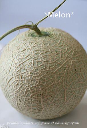 2006.8.20.Melon-nemu.jpg