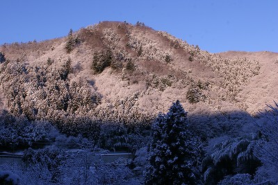 2009,1.24雪 001
