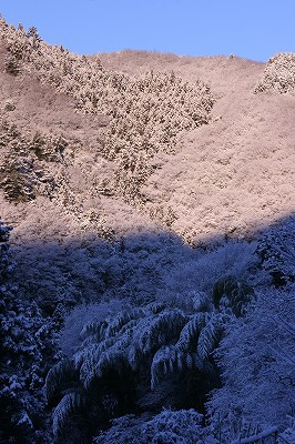 2009,1.24雪 004