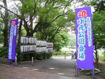 水元公園菖蒲祭り画像03