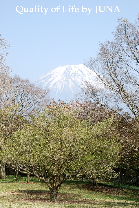 Fuji-2.jpg