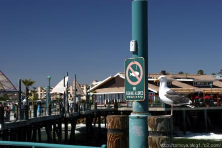 Redondo Beach Pier-6