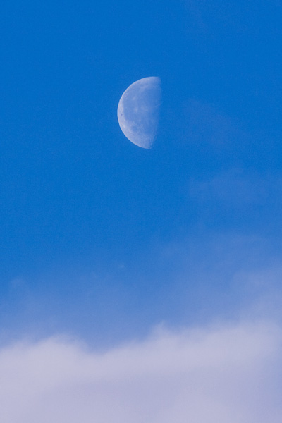 半月と雲
