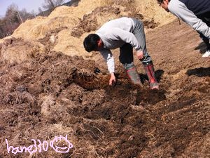 堆肥を掘る山田さん