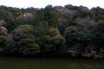 鎌倉中央公園の展望6